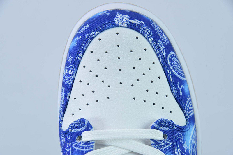 nike dunk low retro sp ct5053-061-1