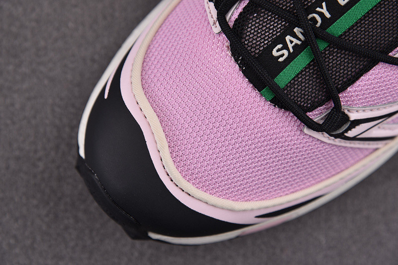 sandy liang x salomon xt-6 expanse